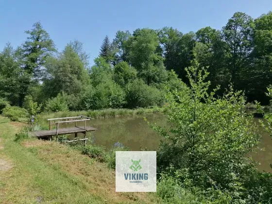 Propriété maison gite